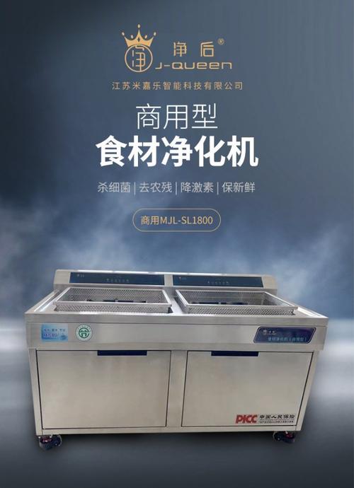 智能商用食材净化机果蔬清洗食品净化洗菜机杀菌去农残生产厂家